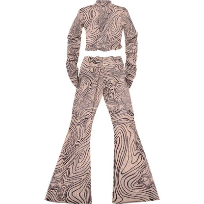 Zebra Striped Print Mesh 2 Piece Set 2024 Autumn Women Turtleneck Full Sleeve T-shirts Top + Flare Pants See Through Match Suits